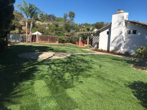 Lush green lawn with trees and a white house in the background.