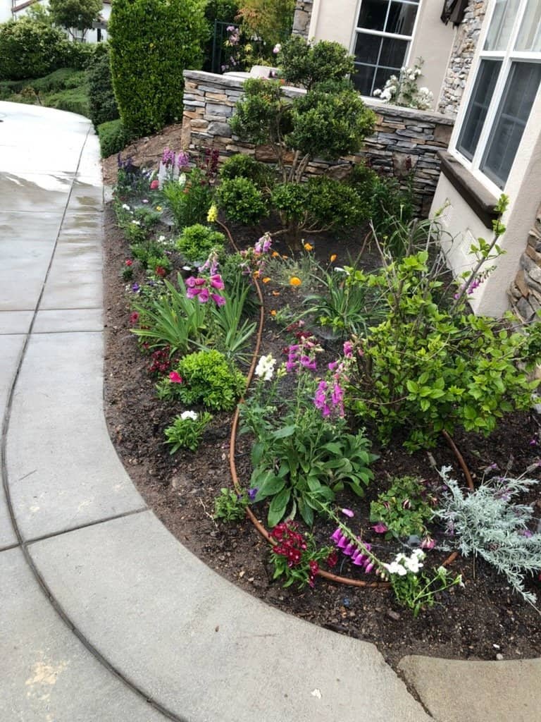 Colorful flower garden with lush greenery and stone accents near house.