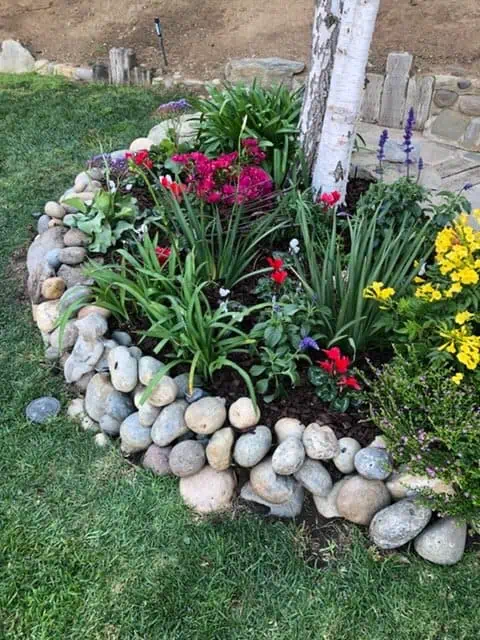 Vibrant flower garden with rocks and a tree in a landscaped yard.