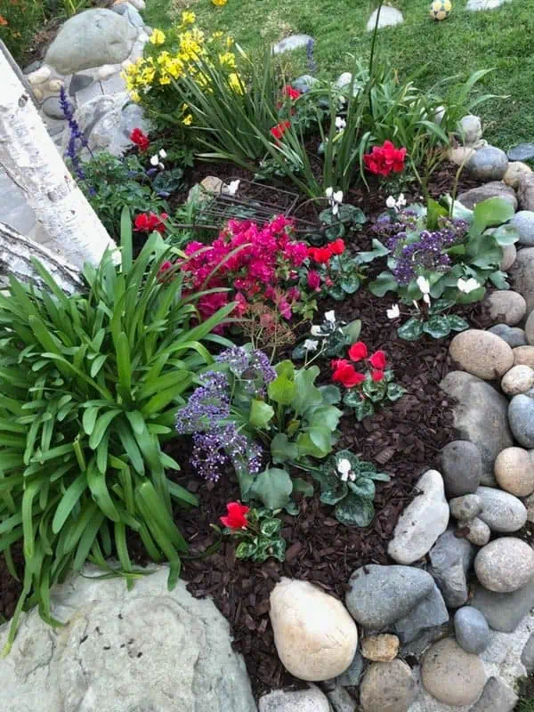 Vibrant garden bed with colorful flowers, green foliage, and decorative rocks.