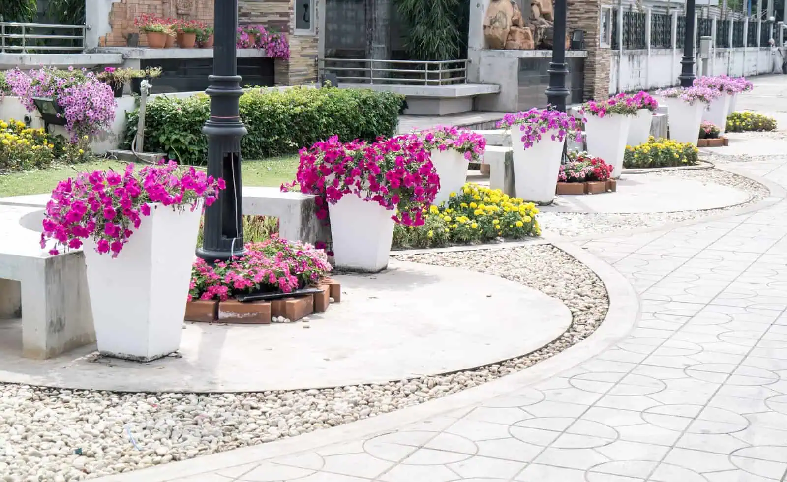 Colorful flower planters along a city sidewalk with benches and street lamps.