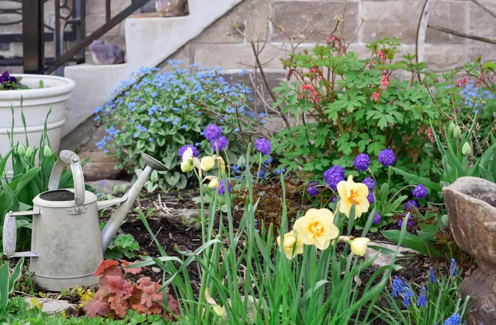 Vibrant garden scene with daffodils, blue and purple flowers, and lush greenery.